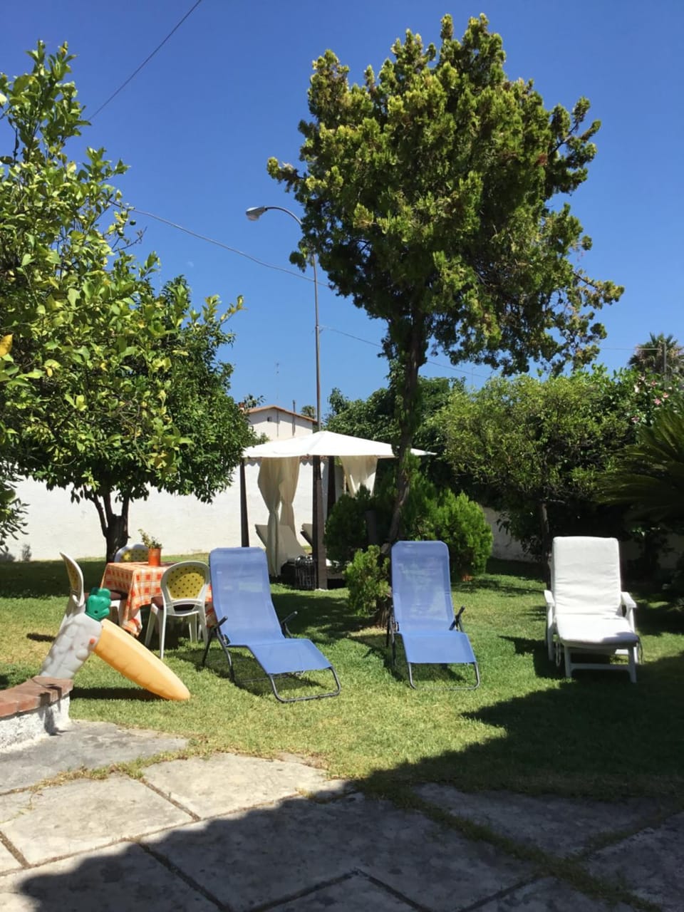 Garden view