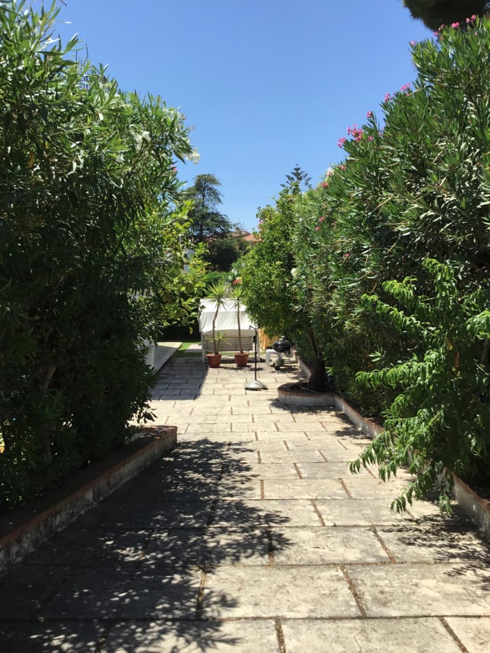 Garden view