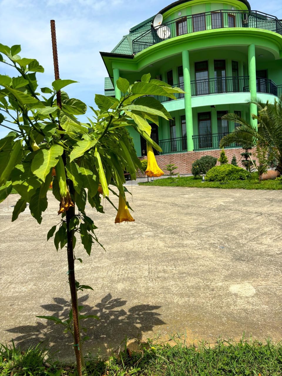 Property building, Garden view