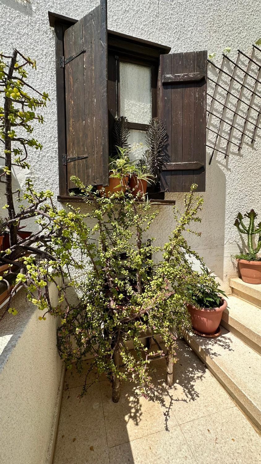 Estia Vasilis Manoli Apartment in Ayia Napa