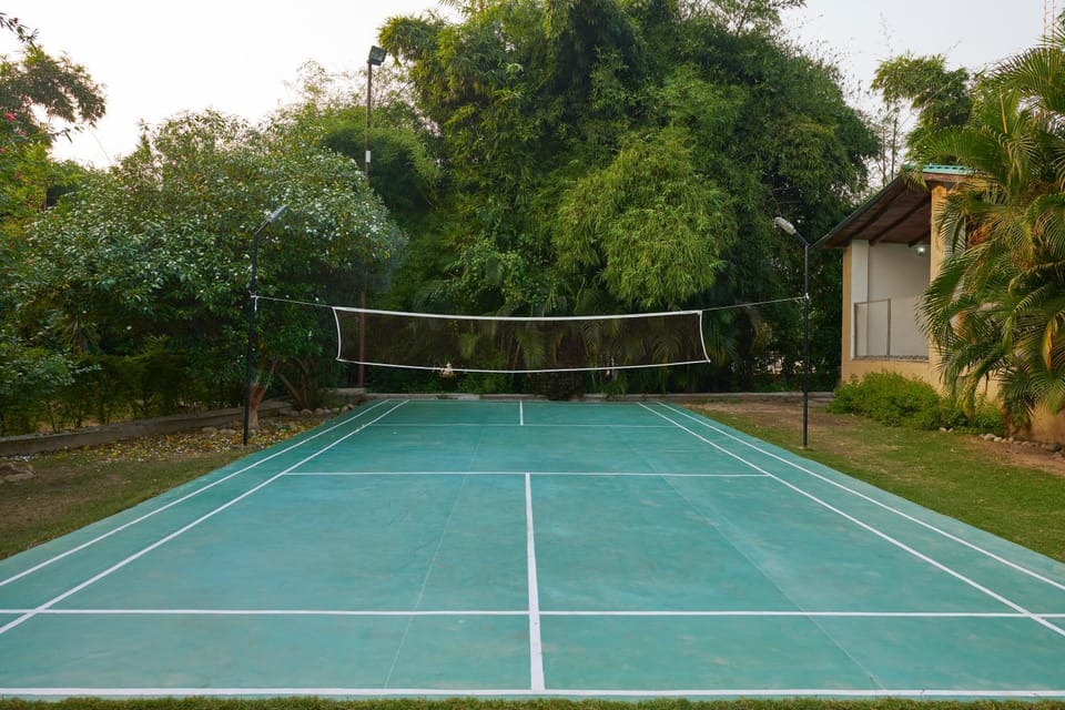 Tennis court