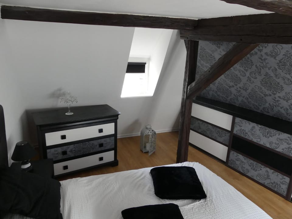 Appart chaleureux Apartment in Colmar
