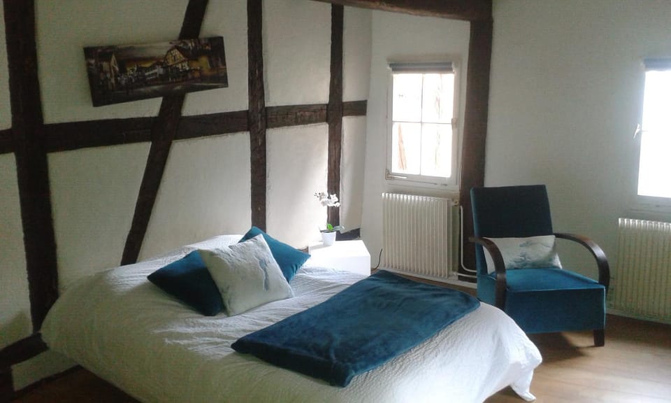 Appart chaleureux Apartment in Colmar