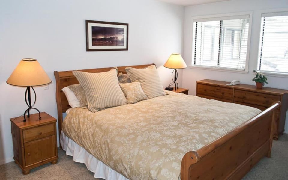 Dollar Meadows 1373 at Sun Valley House in Sun Valley