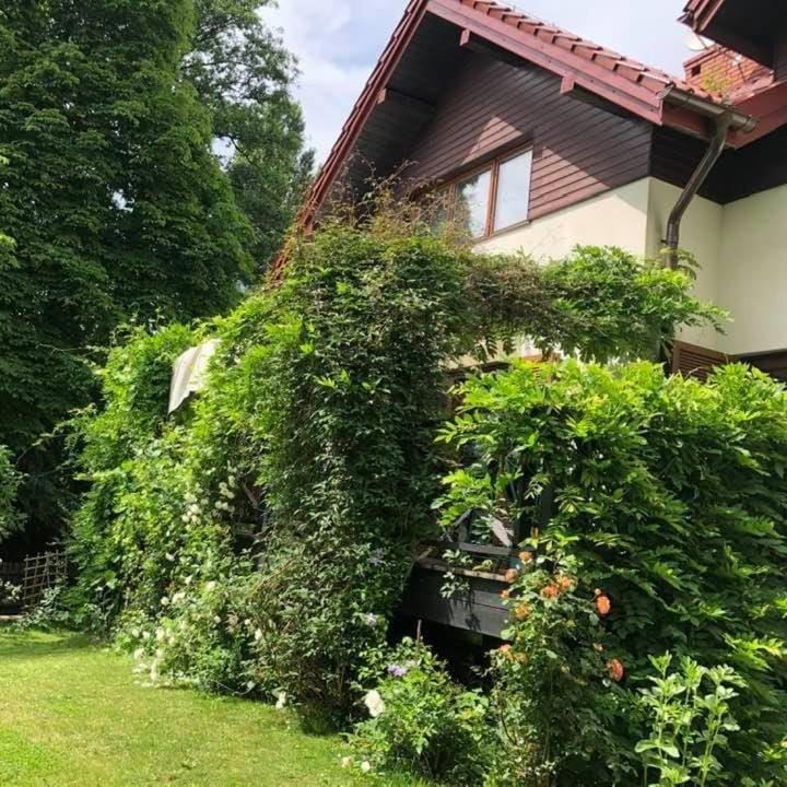 Leśna 6 - House with a garden House in Lesser Poland Voivodeship