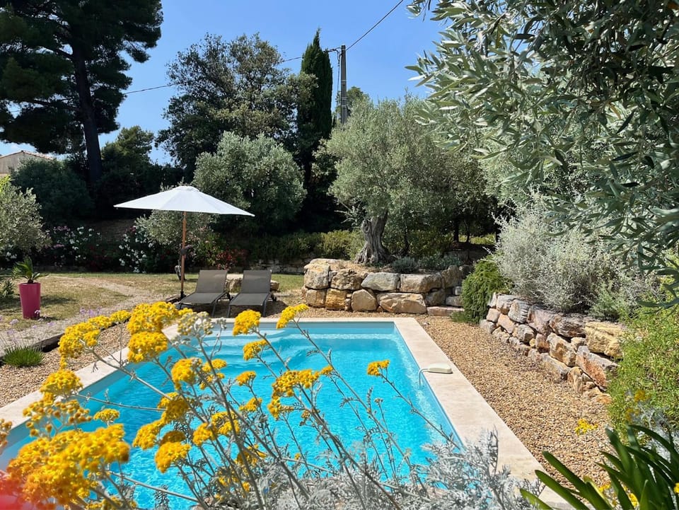 Garden, Pool view, Swimming pool, sunbed