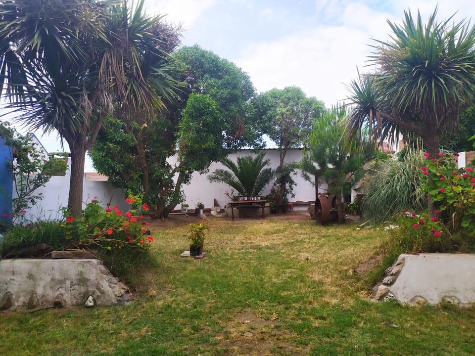 Apartamentos Piolón-Piolón Apartment in Santa Clara del Mar