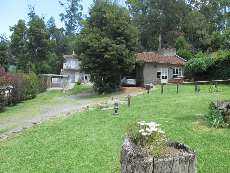 Garden, Area and facilities