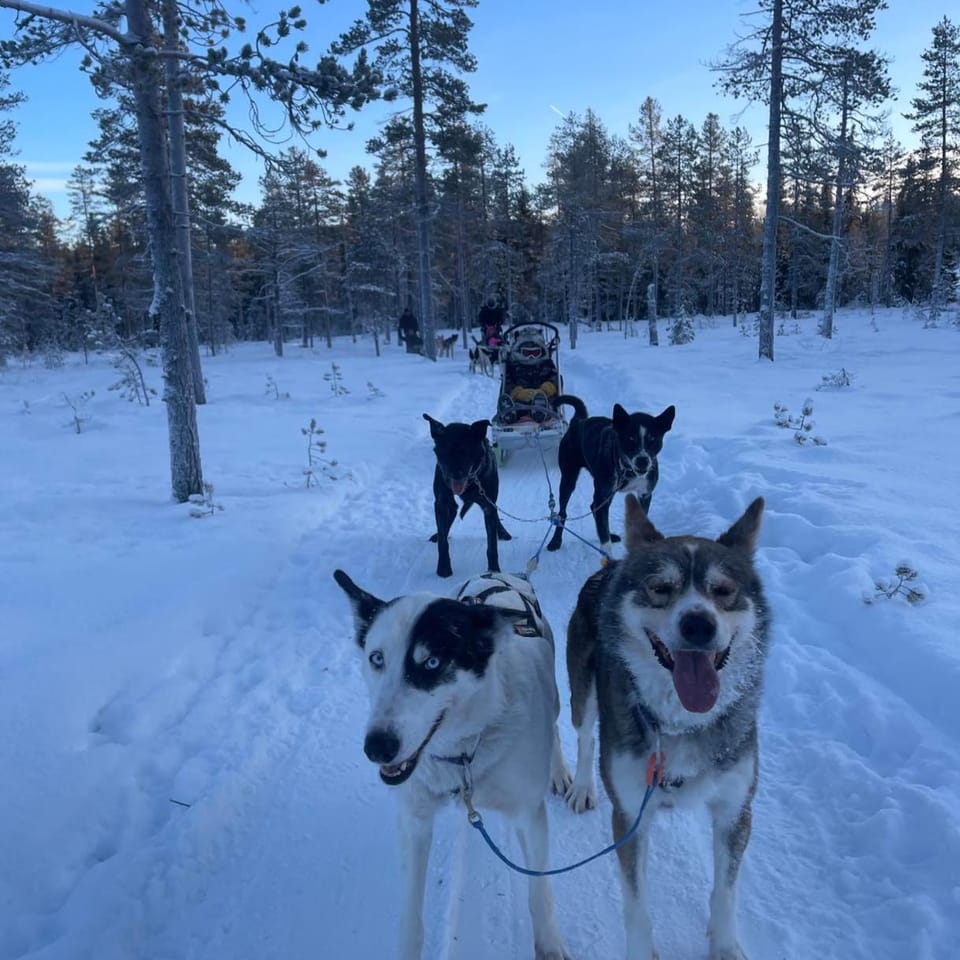Activities, Activities, Winter