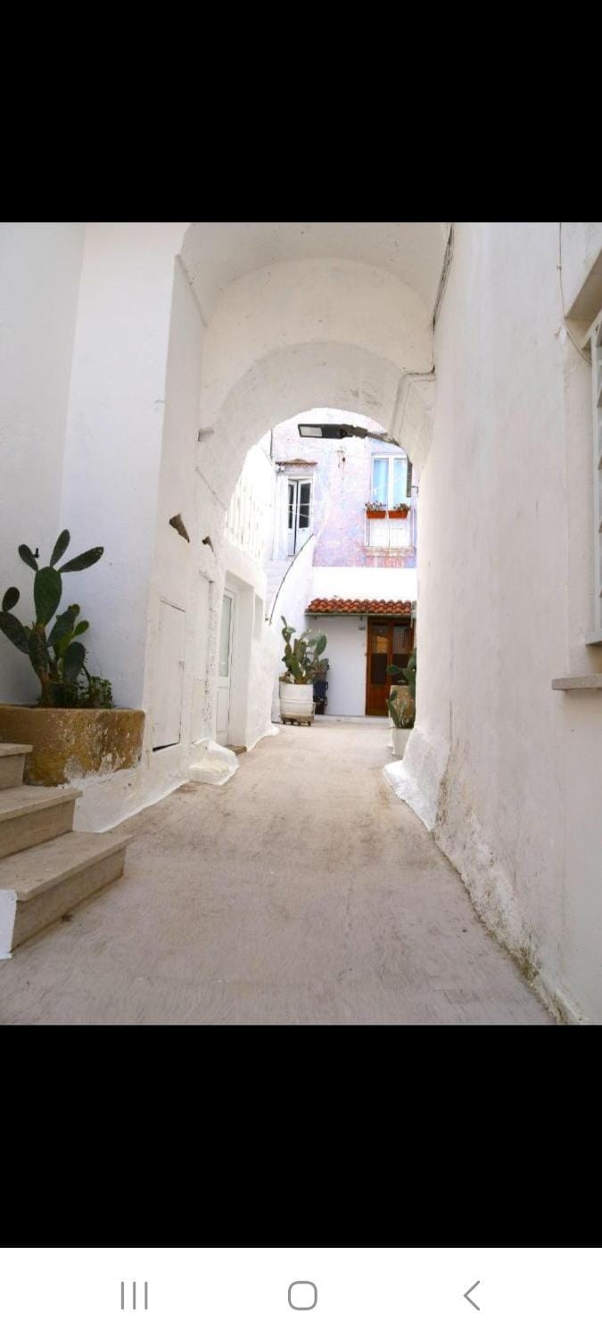 Inner courtyard view