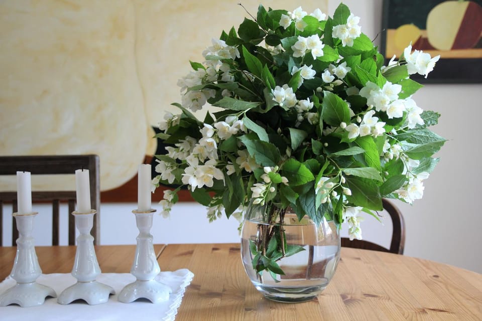 Food and drinks, Photo of the whole room, Decorative detail, Dining area
