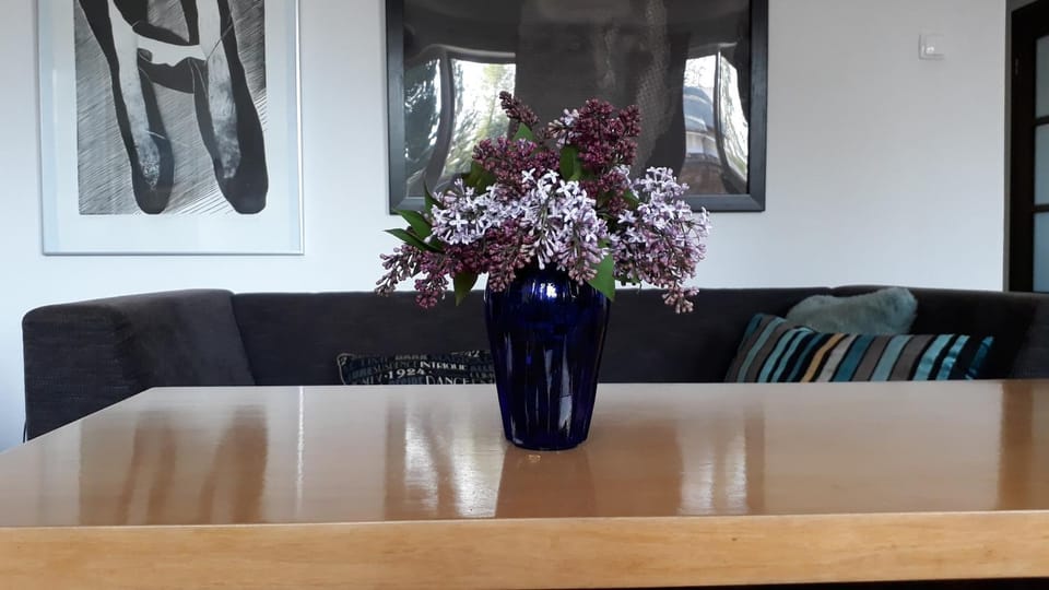 Living room, Photo of the whole room, Decorative detail, Seating area