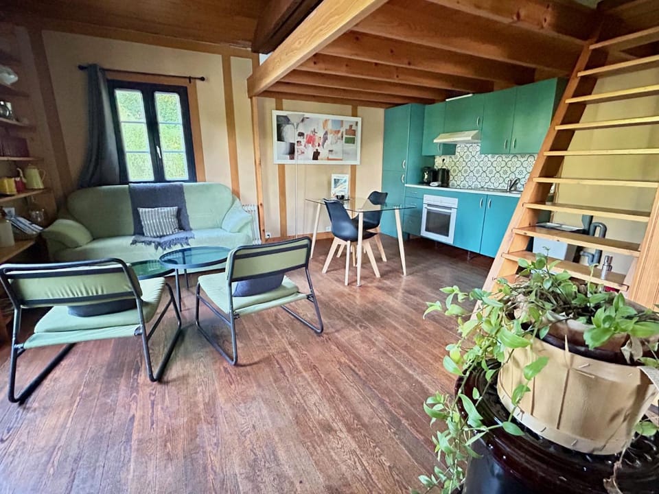 Living room, kitchen