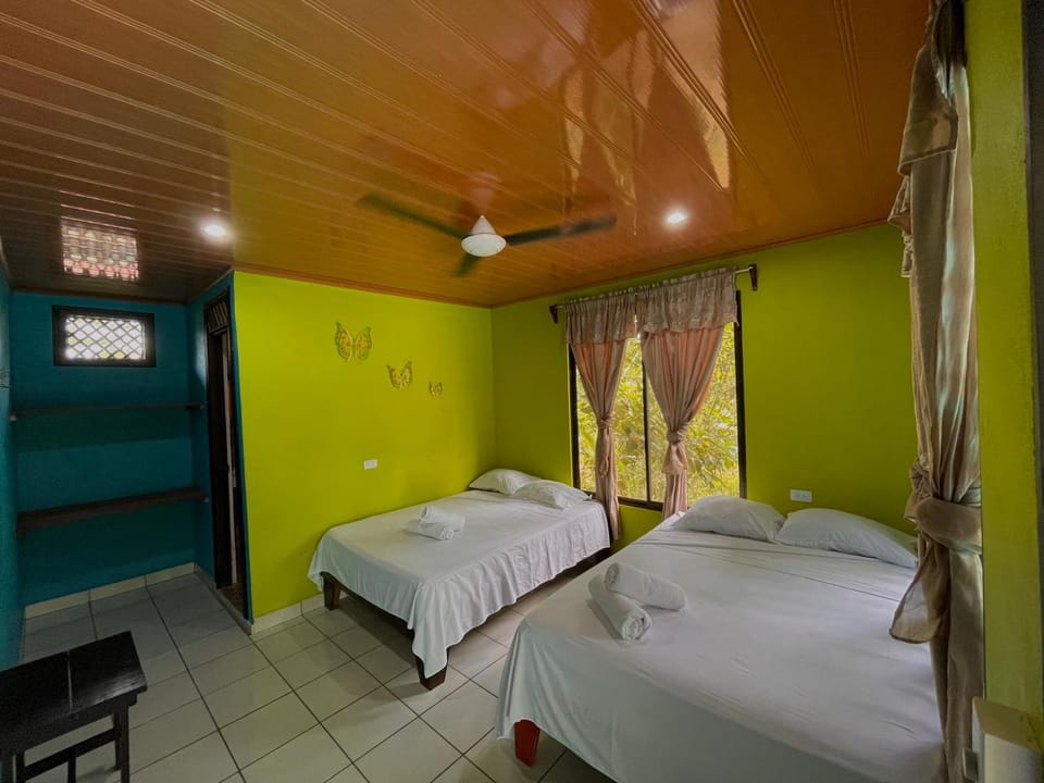 Bed, Photo of the whole room, Bedroom, Family
