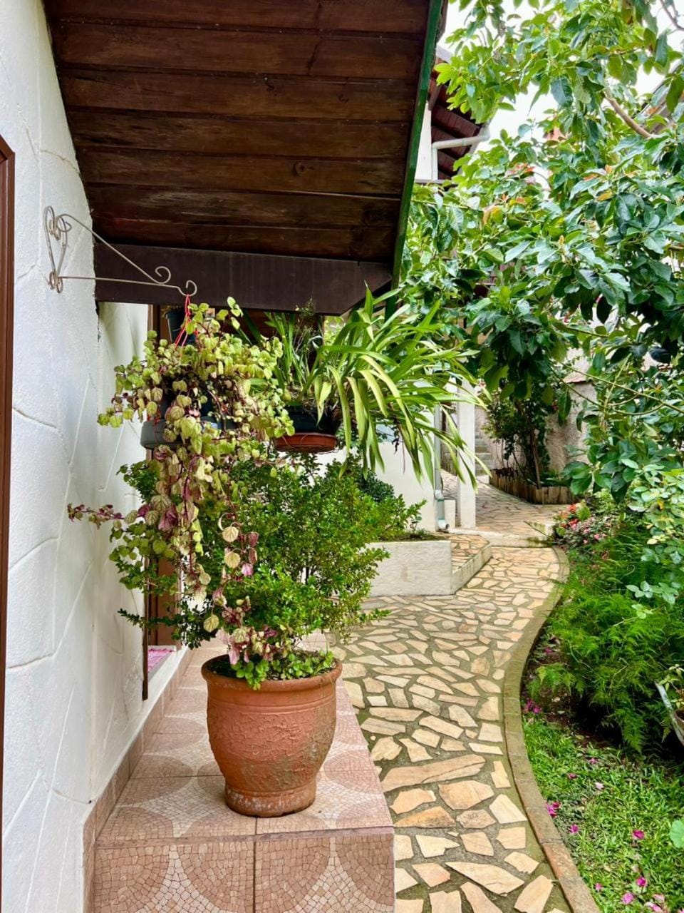 Spring, Garden