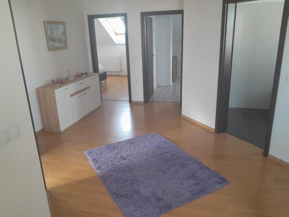 Ubytování Hana Foltýn Apartment in South Moravian Region