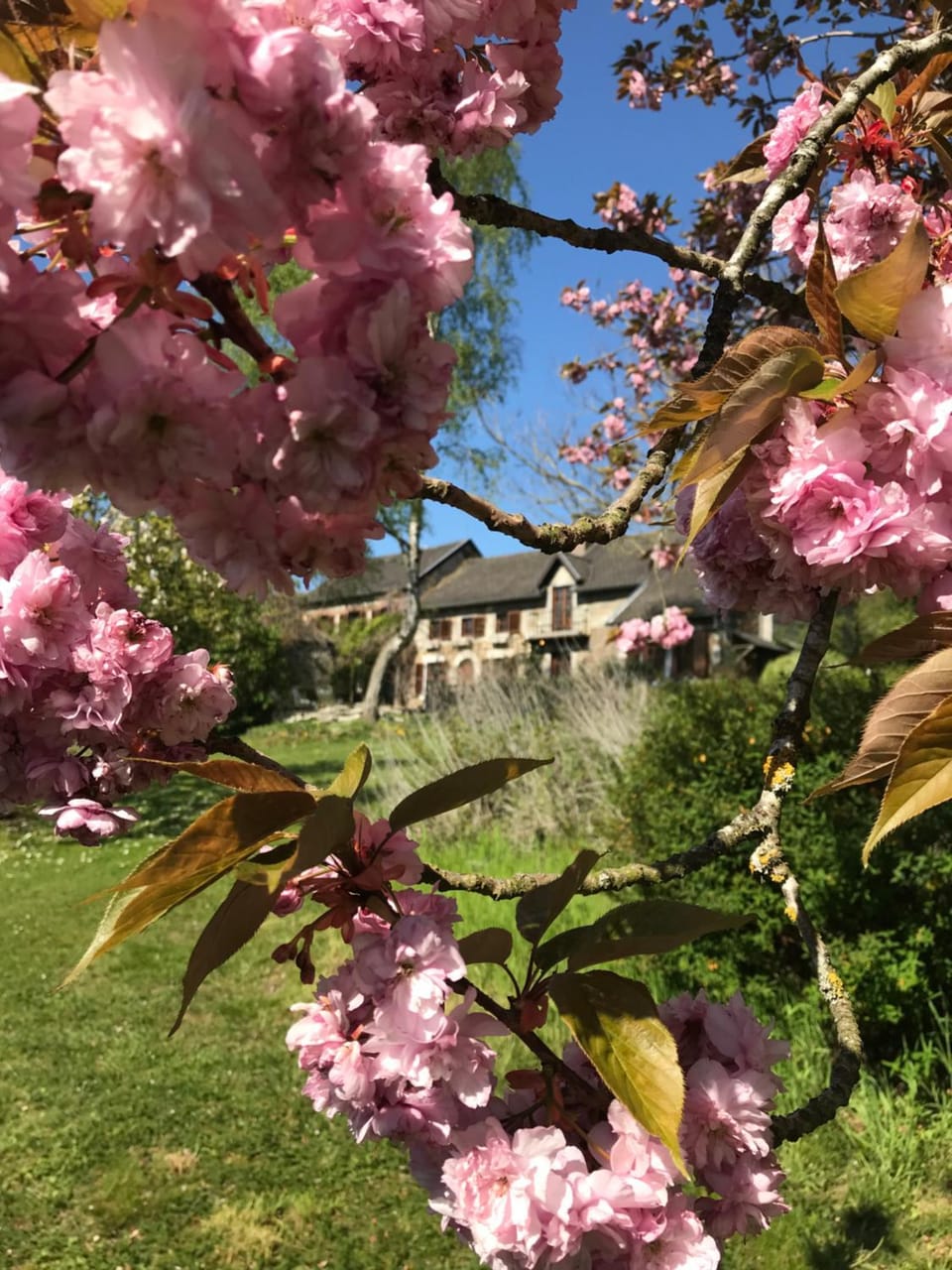 Le Chénia House in Wallonia, Belgium