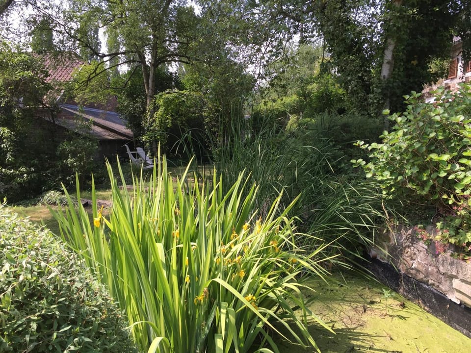 Le Chénia House in Wallonia, Belgium