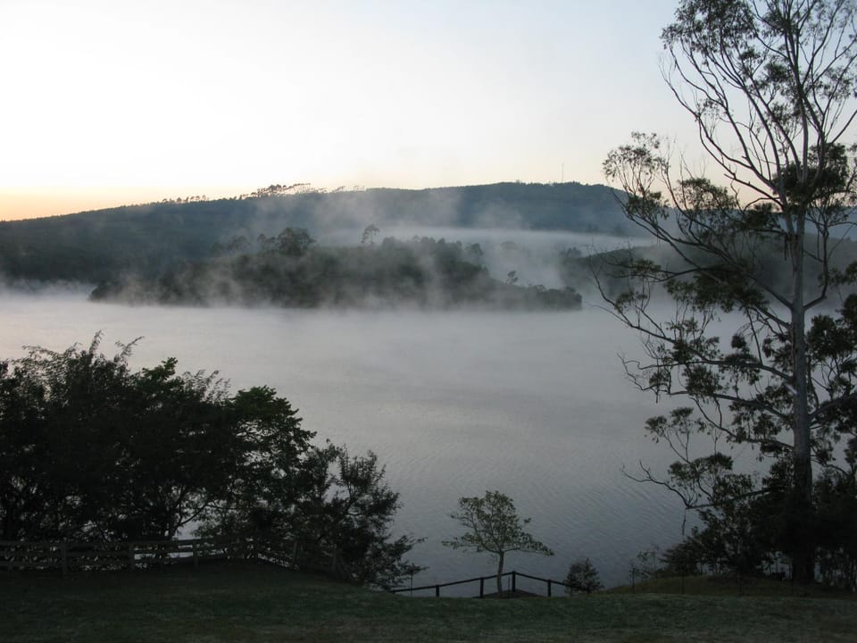 Lake view