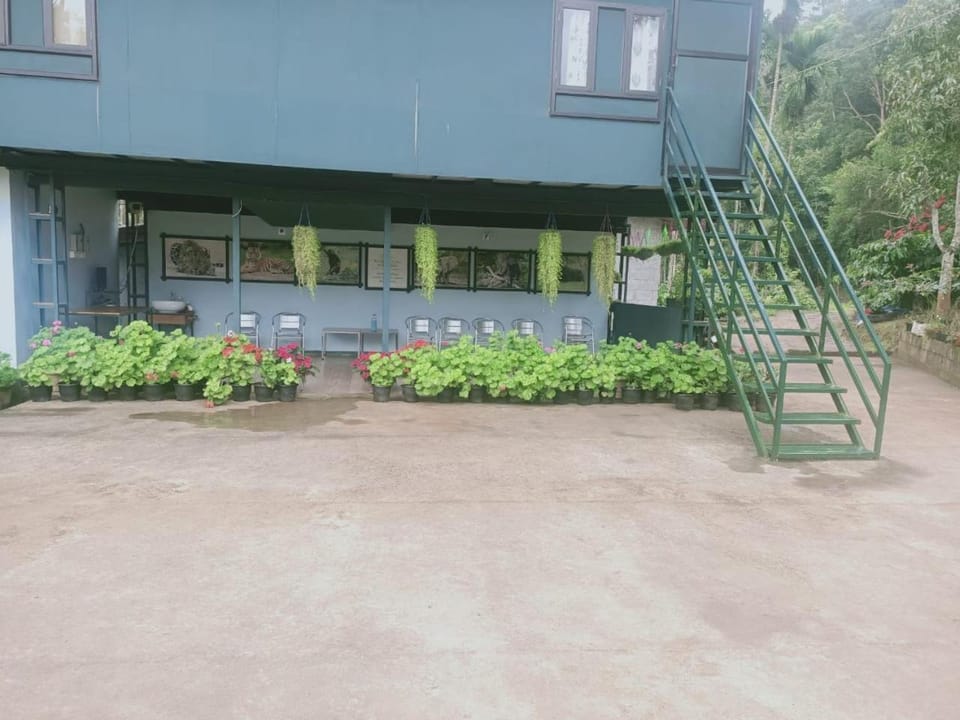 Property building, Day, Garden