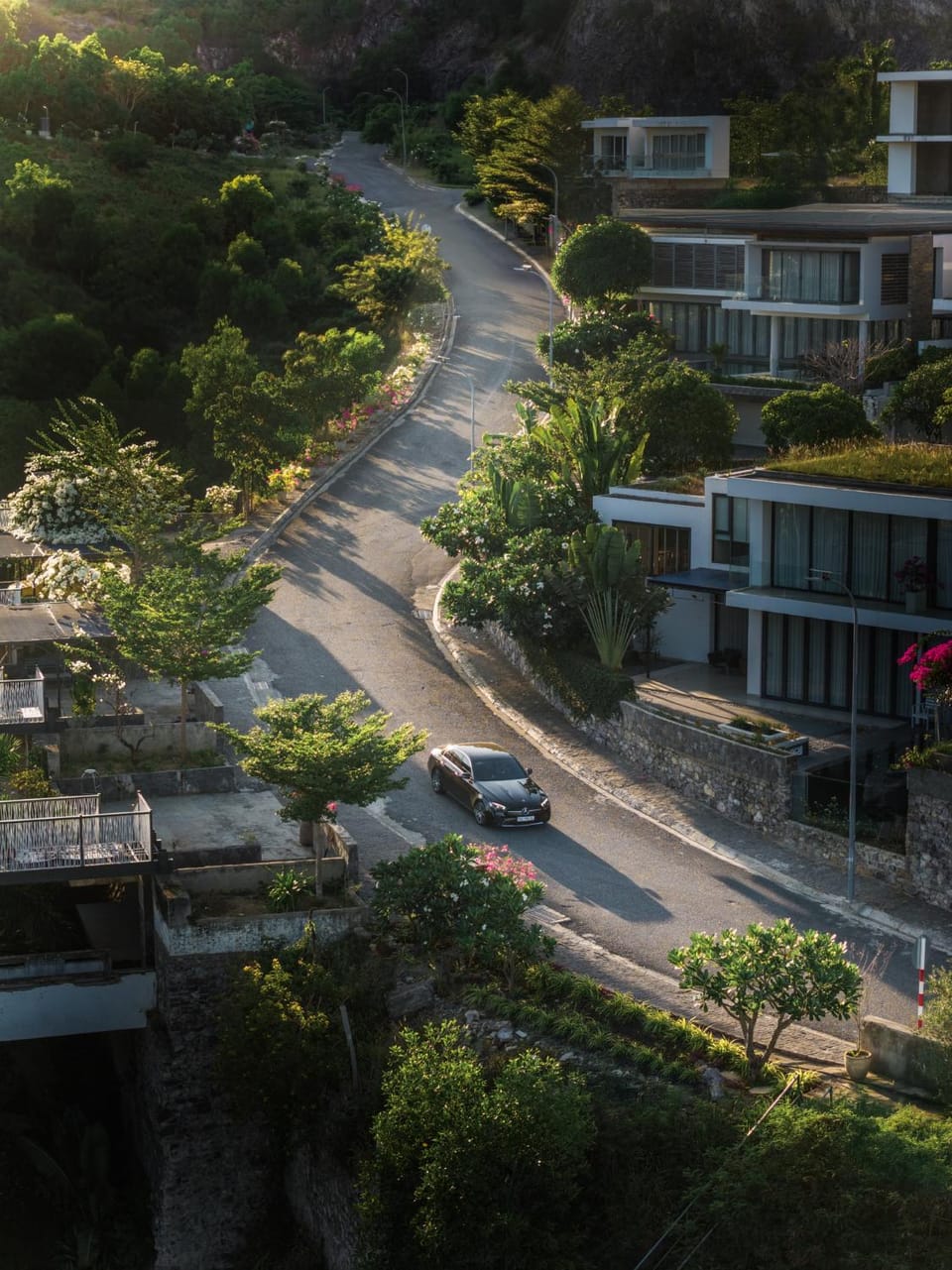 Nearby landmark, Neighbourhood, Natural landscape, Street view, Quiet street view