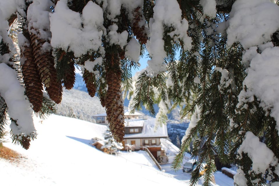 Untertalhof Farm Stay in Trentino-South Tyrol