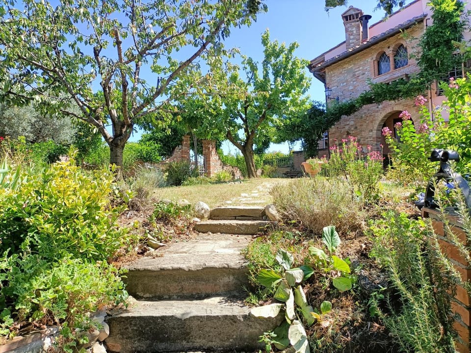 Property building, Garden