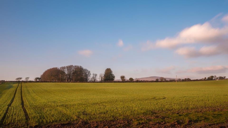 View (from property/room), Mountain view