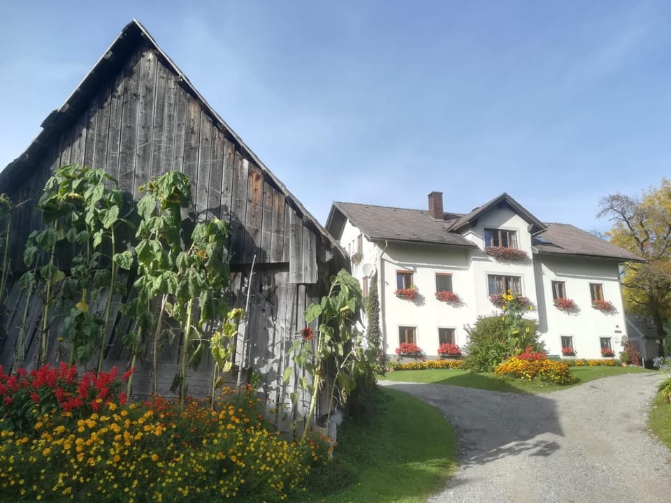 Property building, Summer