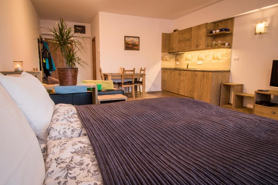 Kitchen or kitchenette, Living room, Photo of the whole room, Decorative detail, Bedroom
