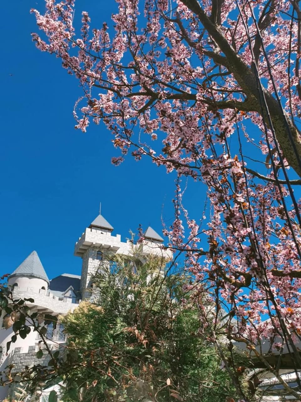 Royal Valentina Castle Bed and Breakfast in Blagoevgrad Province