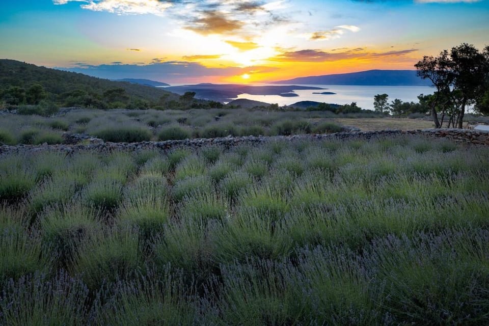 Villa Humac Hvar House in Dubrovnik-Neretva County