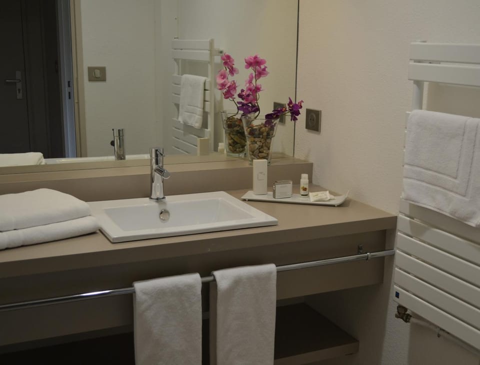 Hôtel de Guyenne Hotel in Nouvelle-Aquitaine
