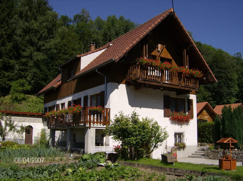 appartement vue sur la montagne Apartment in Vosges
