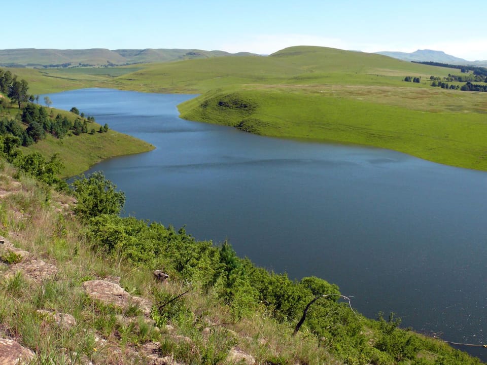 Lake view