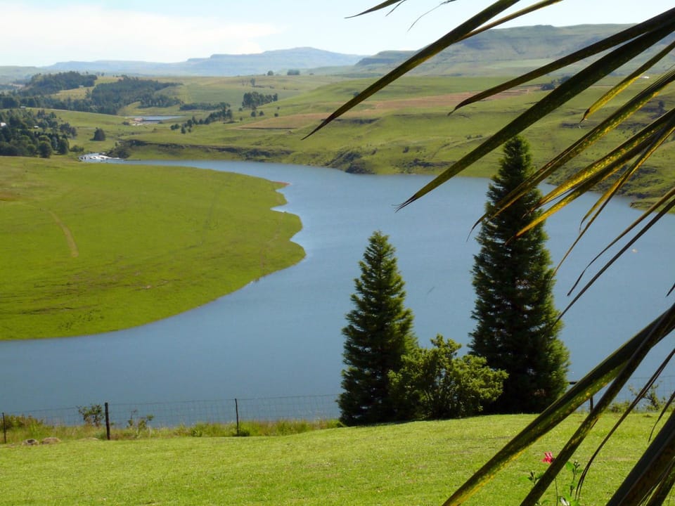 Lake view