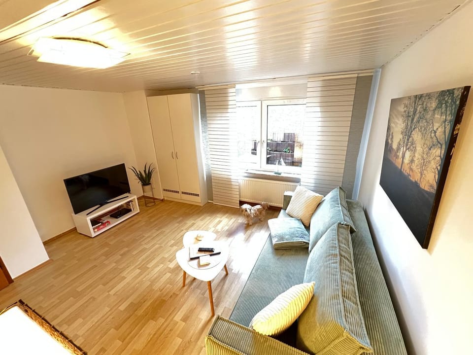 TV and multimedia, Living room