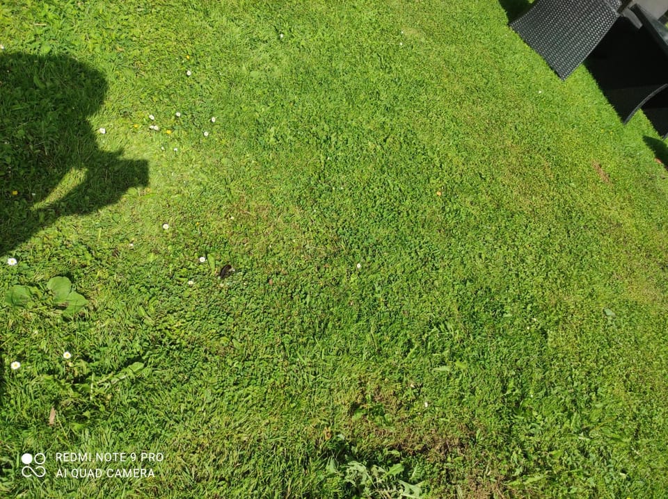 Biotanika Farm Stay in Lower Silesian Voivodeship