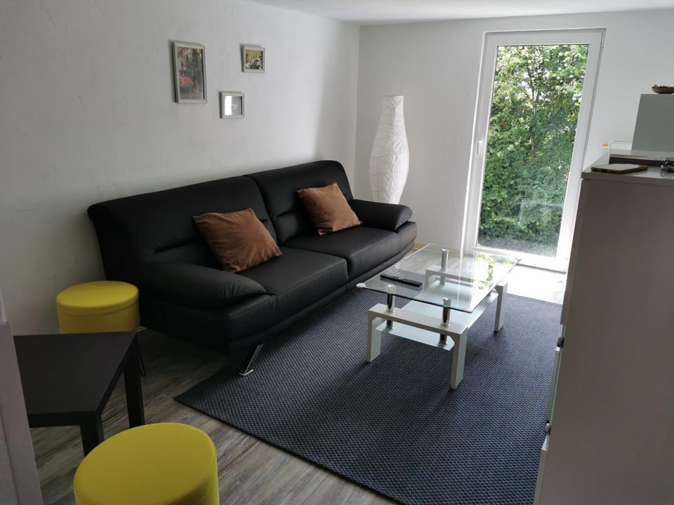 Fewo Celina Apartment in Winterberg
