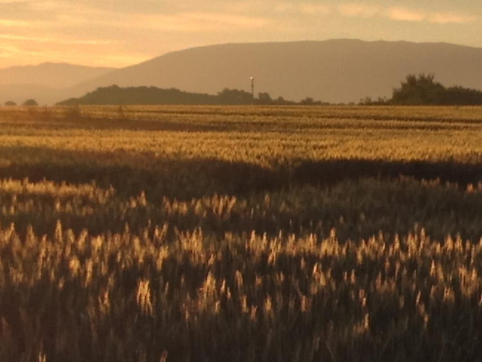 Off site, Natural landscape