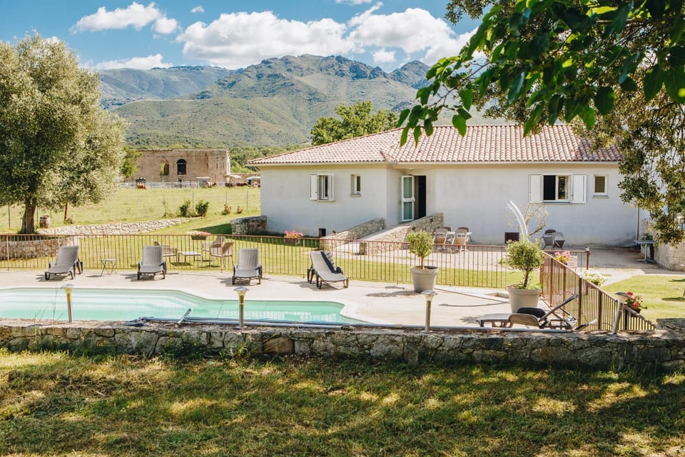Garden, Swimming pool