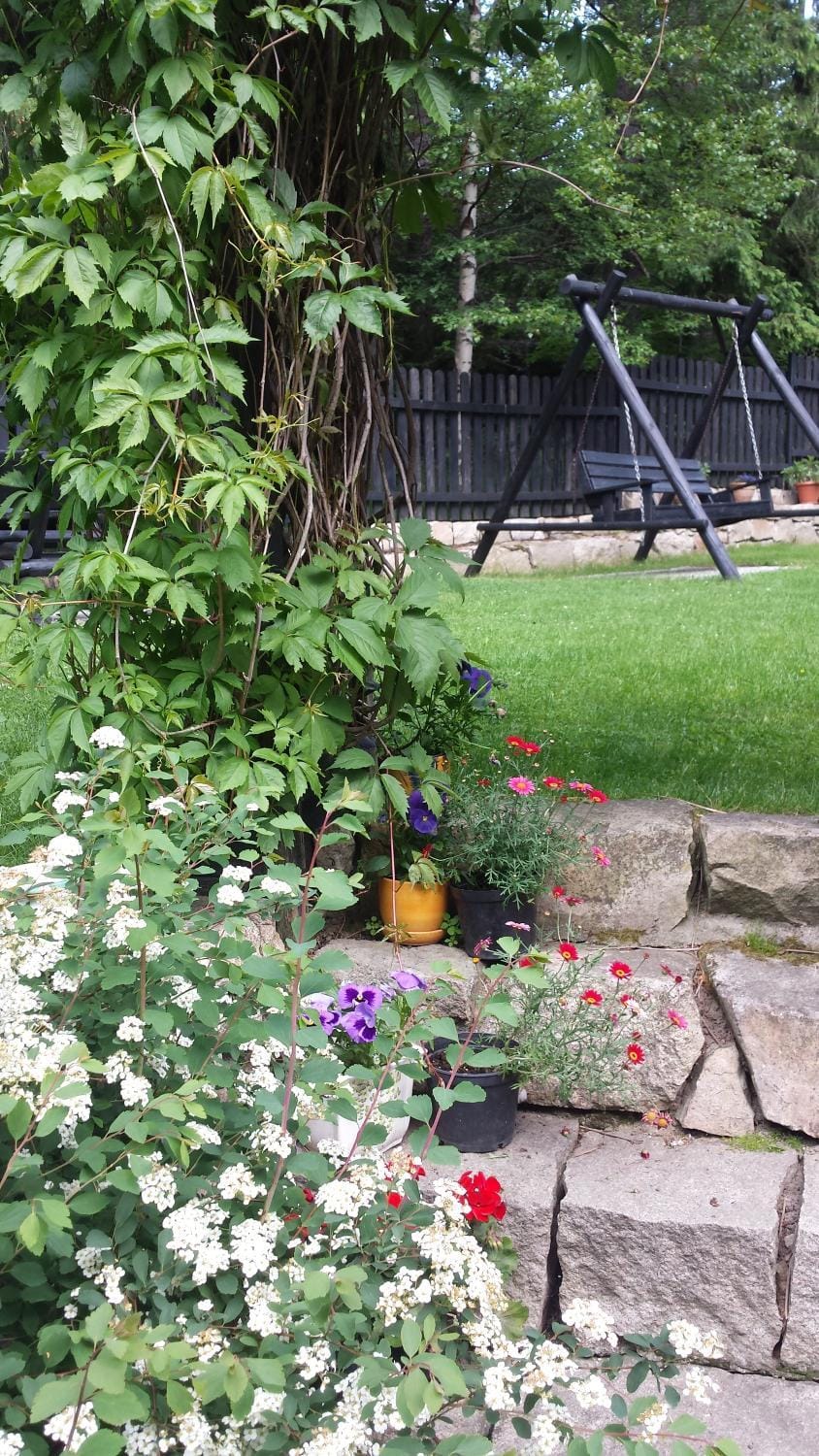 Garden, Garden, Mountain view