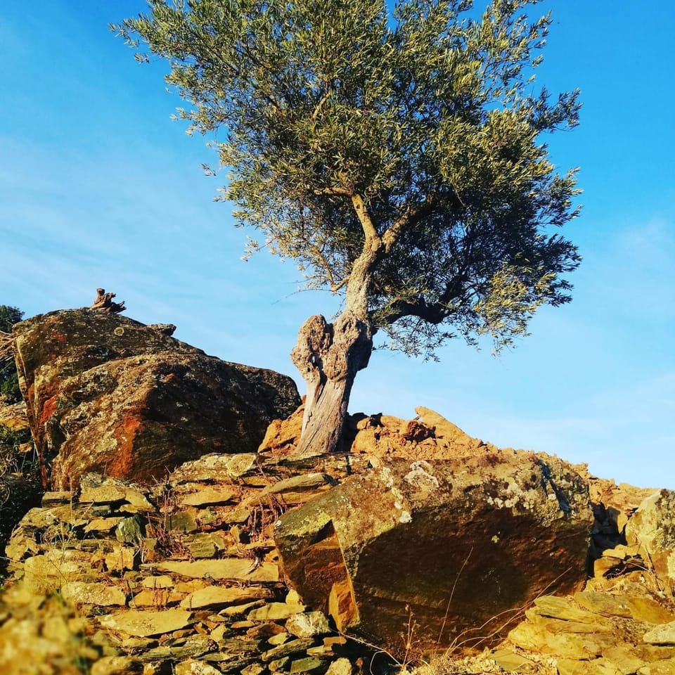 Natural landscape