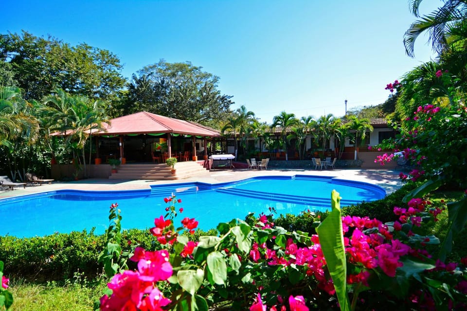 Restaurant/places to eat, Swimming pool, Swimming pool