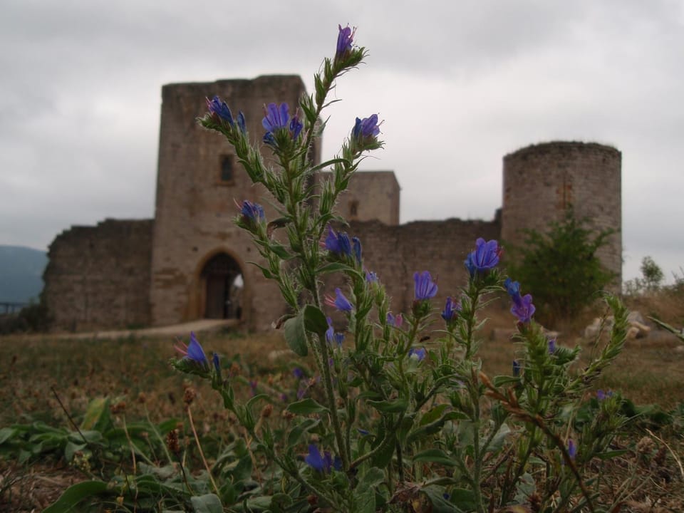 Nearby landmark