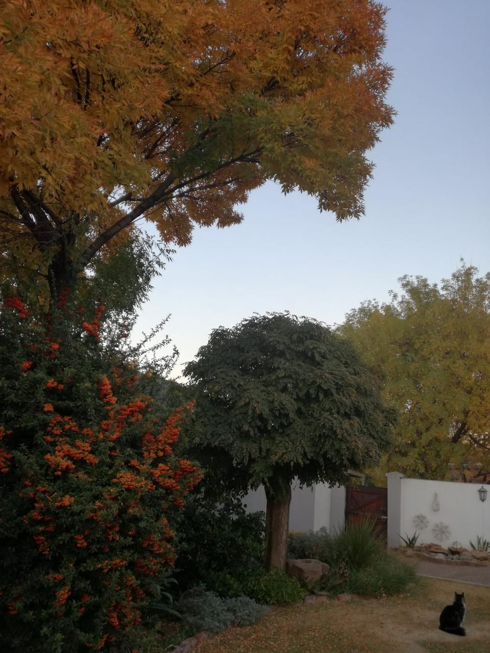 Facade/entrance, Garden