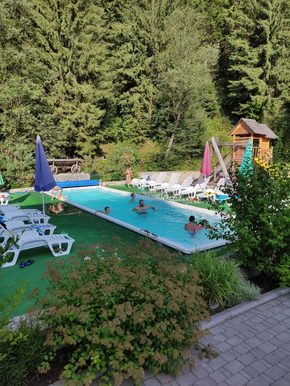 Swimming pool