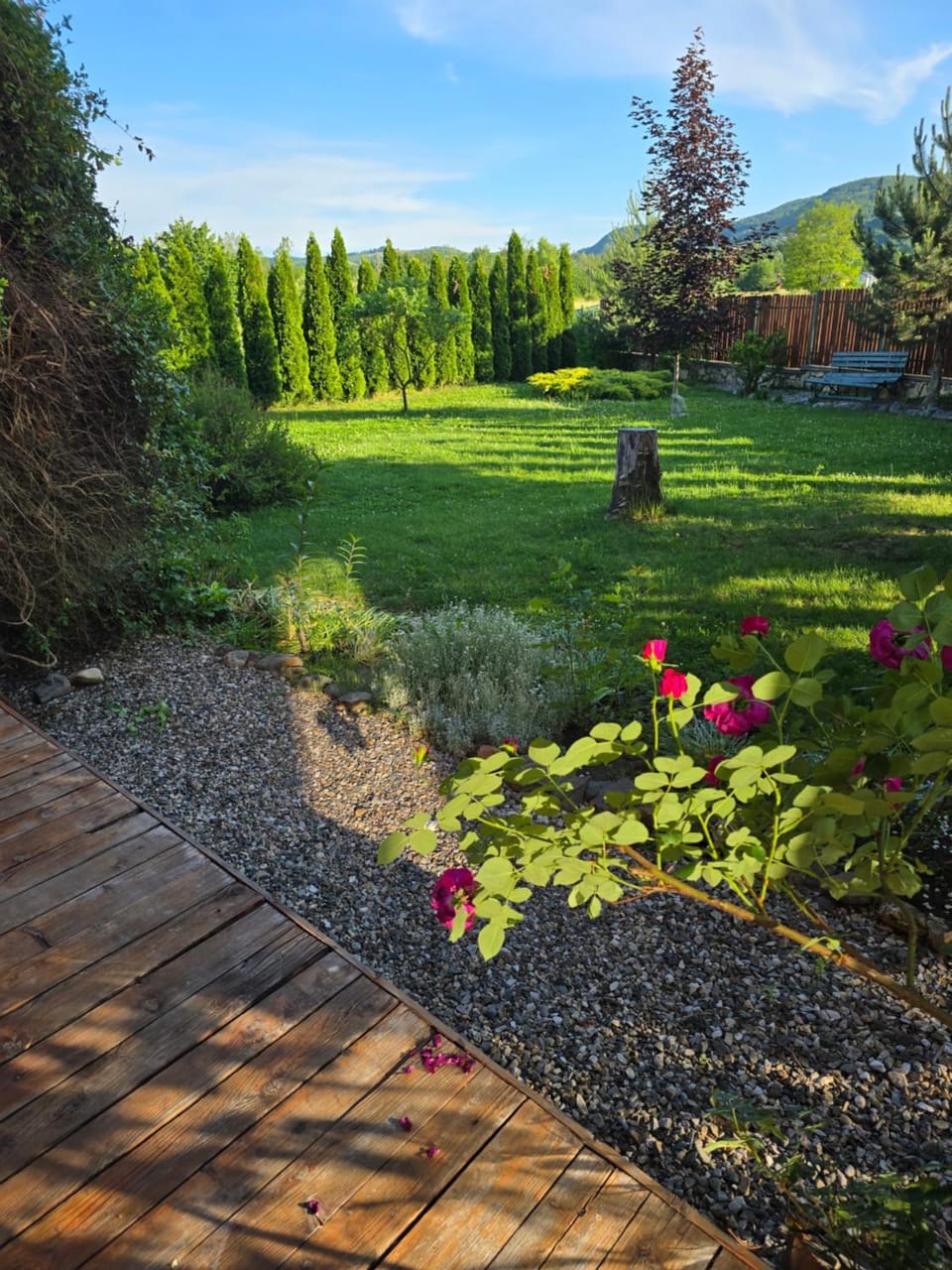 The Wooden House Nature lodge in Cluj County