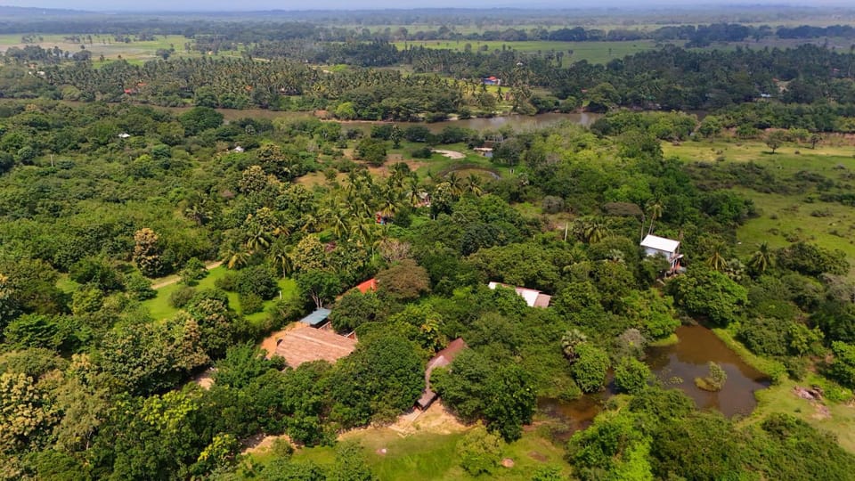 Natural landscape