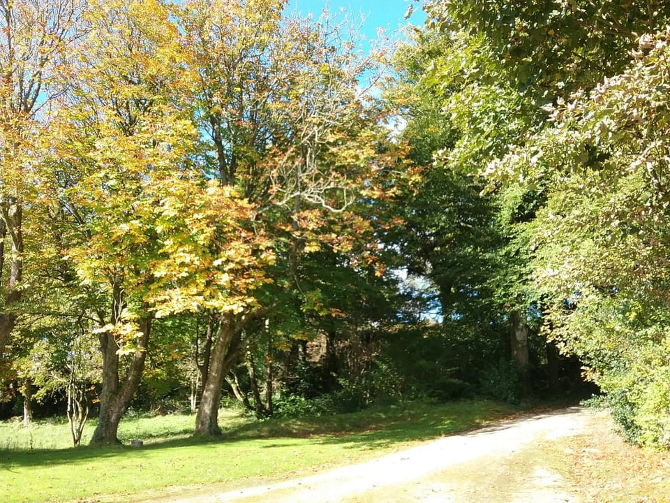 Facade/entrance, Garden